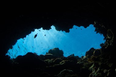 Güneş ışığı Fiji 'deki bir resifteki su altı mağarasına ışıldar. Fiji 'nin mercan resifleri yüksek deniz biyolojik çeşitliliğini destekler ve dalgıçlar ve şnorkelciler için popüler bir hedeftir..