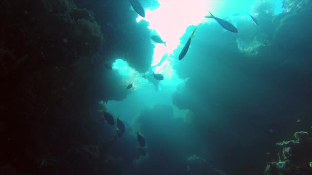 自由潜水者和水下石窟 — 图库视频影像