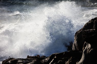 California sahilinde dalgalar çökmesini