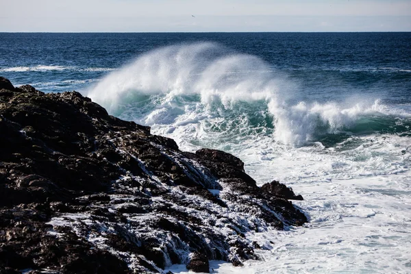 加州的海岸线和波 — 图库照片