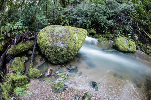 Stream in California Forest — Stock Photo, Image