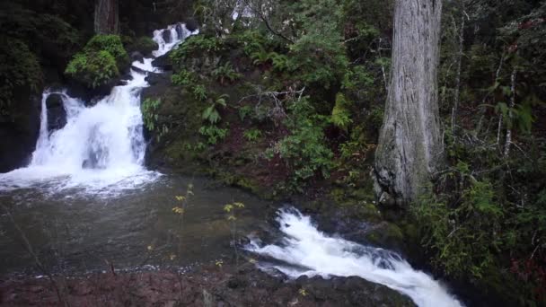 Водопад и ручей — стоковое видео