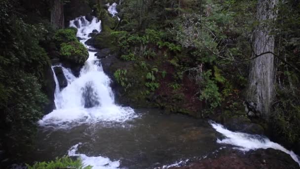 Cascada y Piscina Natural en California — Vídeos de Stock