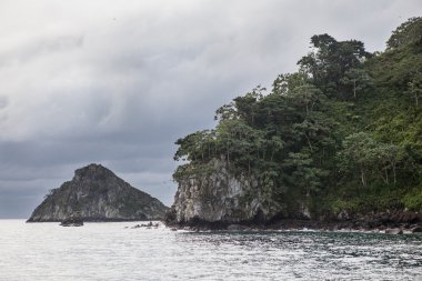 Raja Ampat yüzey altında kırılgan mercan