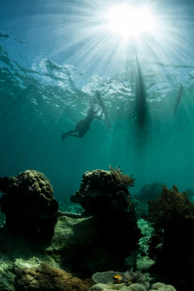 Outrigger y Pescador Submarino en Indonesia —  Fotos de Stock