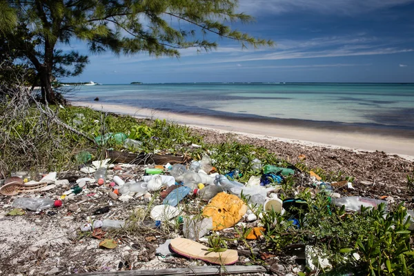 Plastic afval gewassen op strand — Stockfoto