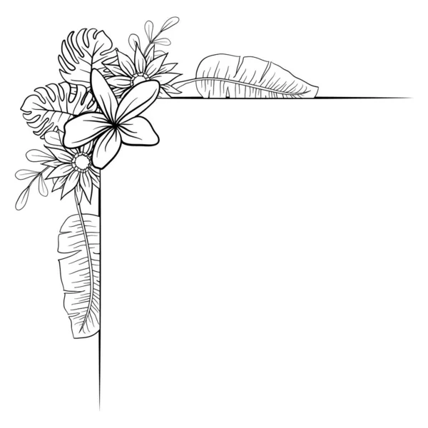 Gyönyörű Lombozat Virágkeret Szöveg Elválasztó Elegáns Virágos Levelek Monokróm Illusztráció — Stock Vector