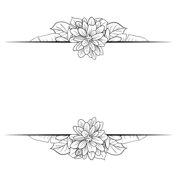 Hermoso Divisor Texto Marco Floral Follaje Con Elegantes Flores Hojas — Archivo Imágenes Vectoriales