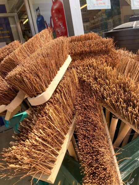 Büyük, kahverengi, açık hava fırçaları..