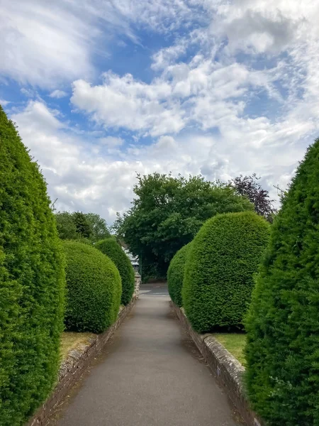 Her iki tarafta yürüme yolları ve çalılıklar var.
