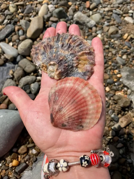 Avuçta iki mermi kovanı, yakın plan. 