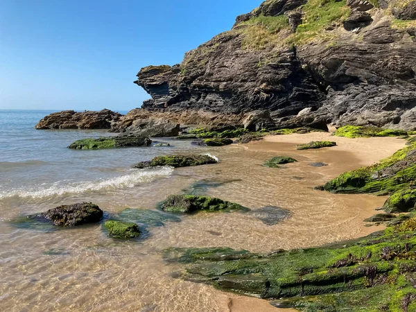 Dalgalar, kayalar, sakin sular, deniz yosunları ve kumlu popolar boyunca kıyı şeridi. 