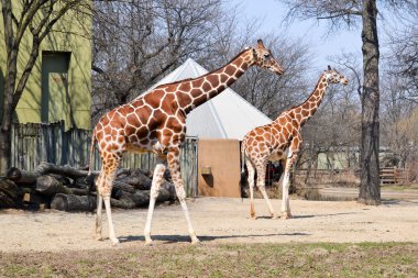 Tatlım, anahtarlarımı gördün mü?