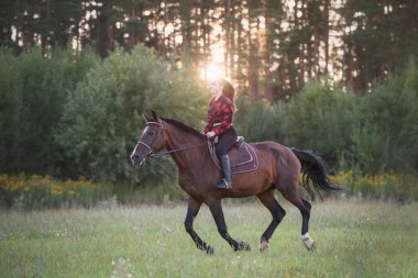 Gün batımında atın üstünde dört nala koşan genç bir kız. Gün batımında atıyla dört nala koşan güzel bir kadın binici.
