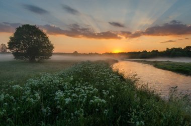 wschod slonca nad rzeka