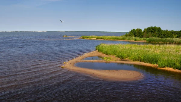 Jezioro lebsko Slowinski Park Narodowy Polonya