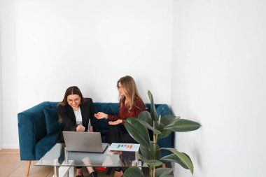 İki kadın iş yerinde dizüstü bilgisayar kullanırken tartışıyorlar. Yakınlarda bir bitkisi olan şık bir kanepede oturuyorlar..