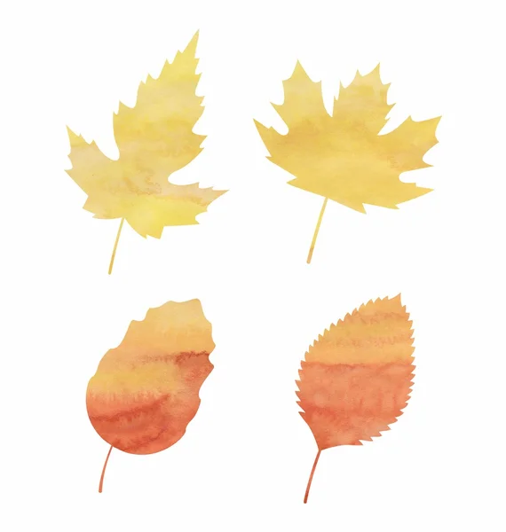 Set oranje en gele herfst bladeren op witte achtergrond — Stockfoto