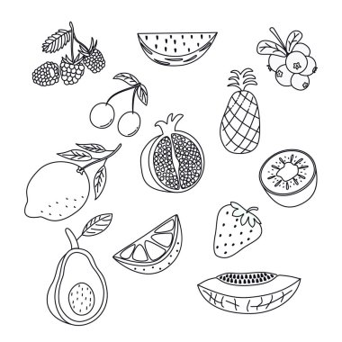 Meyve ve dut karalamaları. Siyah ve beyaz vektör çizim taslak biçimi. Beyaz izole arkaplan.