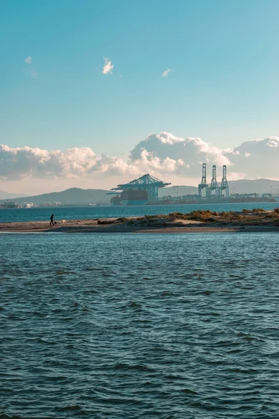 Algeciras limanında kargo operasyonu yapan bir gemi ayrıca sahilde köpekleriyle yürüyen birini de görebiliyoruz..