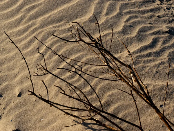 Kumda şekiller ve ağaç dalları var.