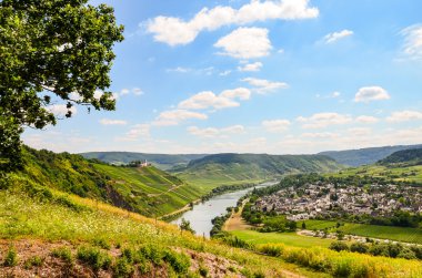 View to river Moselle and Marienburg Castle near village Puenderich - Mosel wine region in Germany clipart