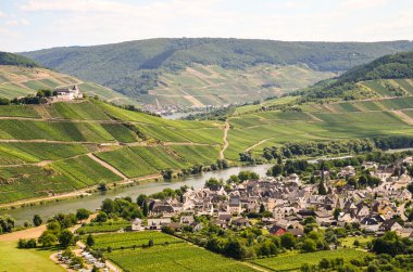 Moselle Nehri görünümüne ve Marienburg Castle village Puenderich - Almanya Mosel şarap bölgesi yakınındaki