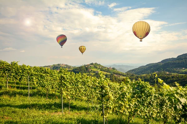 Balões de ar quente sobrevoando as vinhas ao longo da South Styrian Wine Road, Áustria Europa — Fotografia de Stock