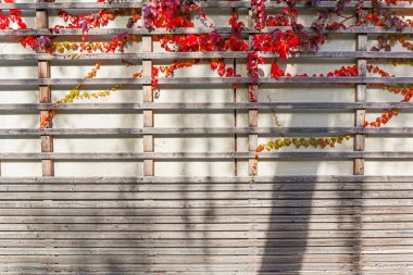 Şehirdeki bir apartmanın ahşap biçiminde ön cephe deseni, sürdürülebilir materyalleri ve düşük enerji konsepti olan konut