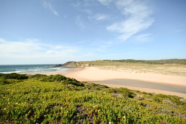 Algarve: Vista para a praia Praia da Amoreira na Primavera, Aljezur Portugal — Fotografia de Stock