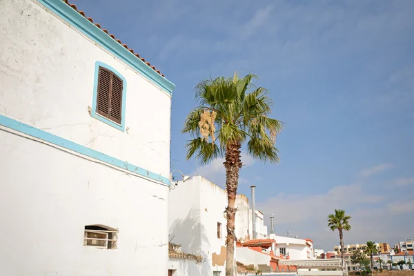 Algarve: Casas e palmeiras tradicionais na vila piscatória de Ferragudo perto de Portimao, Portugal — Fotografia de Stock