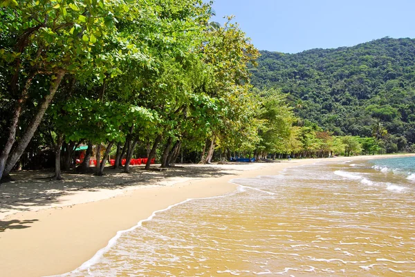 Ilha Grande: Stranden Praia Lopes mendes, staten Rio de Janeiro, Brasilien — Stockfoto