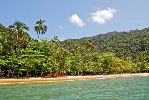 Ilha Grande: Beach Praia Lopes mendes, Rio de Janeiro state, Brazil — Stock Photo, Image