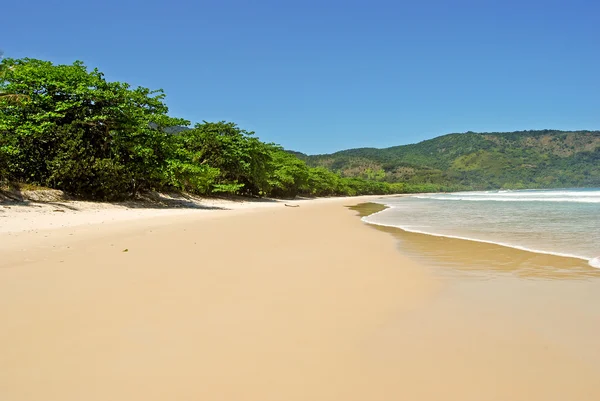 Ilha Grande: Beach Praia Lopes mendes, Rio de Janeiro state, Brazil — Stock Photo, Image