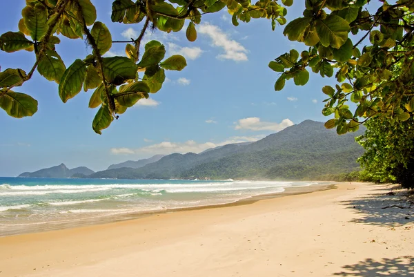 Ilha Grande: Beach Praia Lopes mendes, Rio de Janeiro state, Brazil — Stock Photo, Image