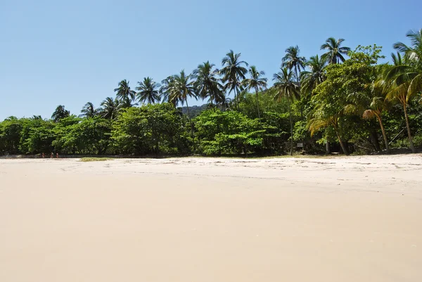 Ilha Grande: Beach Praia Lopes mendes, Rio de Janeiro state, Brazil — Stock Photo, Image