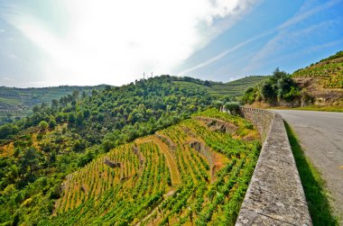 Douro Vadisi: Üzüm bağları ve küçük köyü yakınlarında Pezosu da Regua, Portekiz