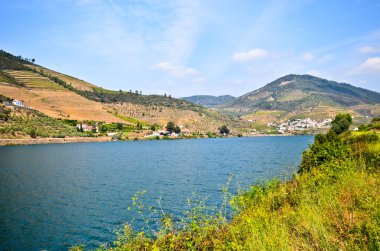 Douro Vadisi: Duero nehir Pinhao, Portekiz yakınındaki üzüm bağları ile