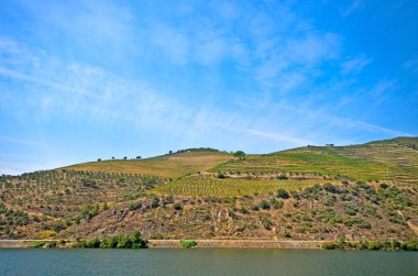 Douro Vadisi: Duero nehir Pinhao, Portekiz yakınındaki üzüm bağları ile