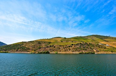 Douro Vadisi: Duero nehir Pinhao, Portekiz yakınındaki üzüm bağları ile