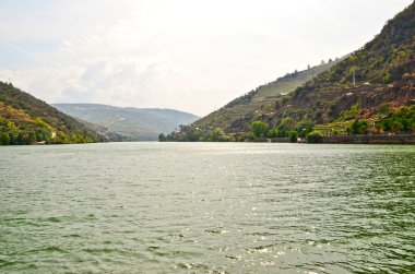 Douro Vadisi: Duero nehir Pinhao, Portekiz çevresinde üzüm bağları ile
