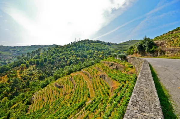 Douro Valley: Wijngaarden en klein dorp in de buurt van Peso da Regua, Portugal — Stockfoto