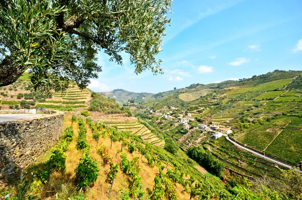 Vale do Douro: Vinhedos e pequena aldeia perto de Peso da Regua, Portugal — Fotografia de Stock