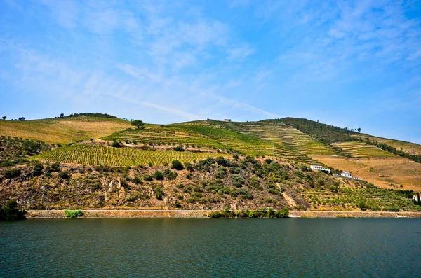 Valle del Duero: ribera del Duero con viñedos cerca de Pinhao, Portugal — Foto de Stock