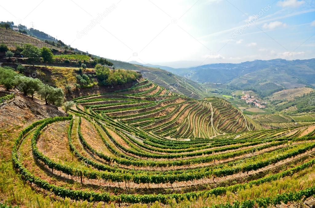 Douro Valley: Vineyards near Duero river and Pinhao, Portugal