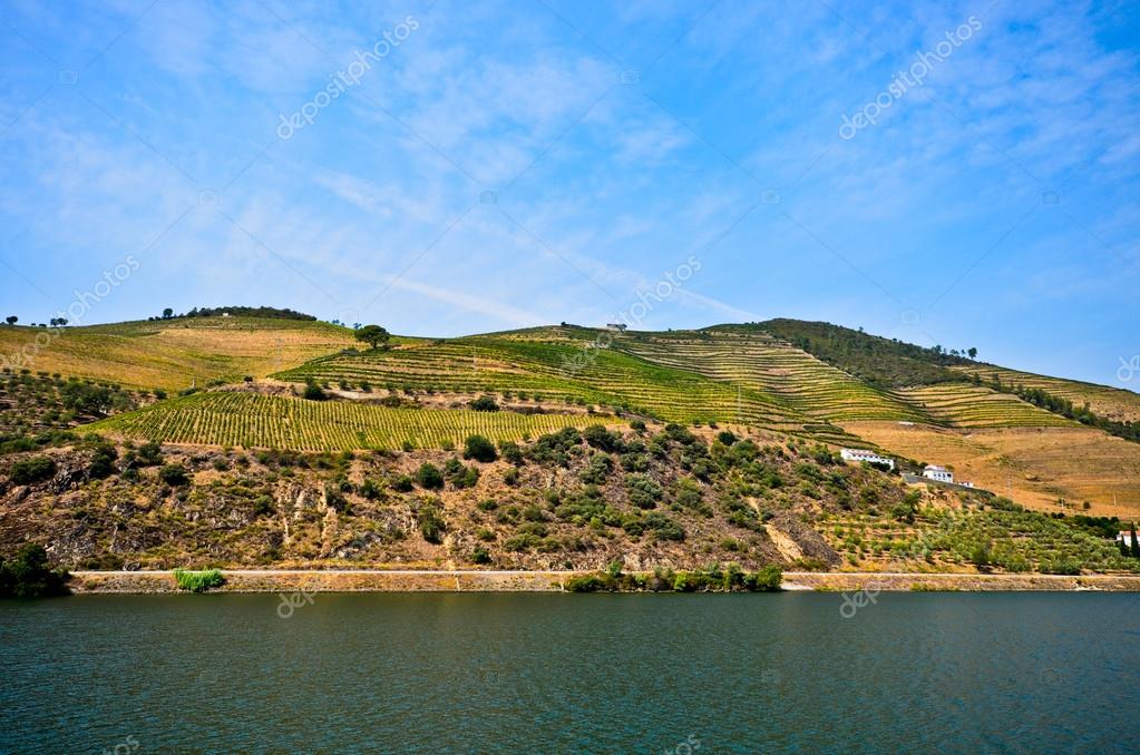 Valle del Duero ribera del Duero con viñedos cerca de Pinhao, Portugal