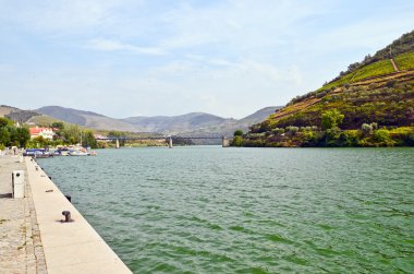 Douro Vadisi: Duero nehir köprüsü ve üzüm bağları Pinhao, Portekiz