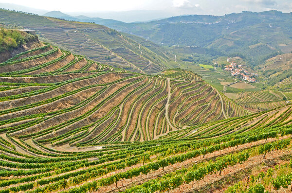 Douro Valley: Vineyards near Duero river and Pinhao, Portugal