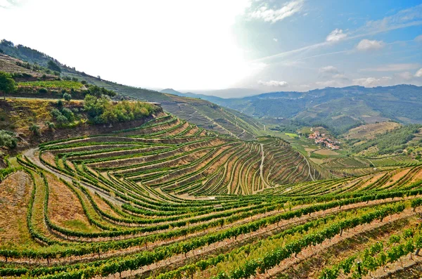Douro Vadisi: Üzüm bağları Duero Nehri ve Pinhao, Portekiz