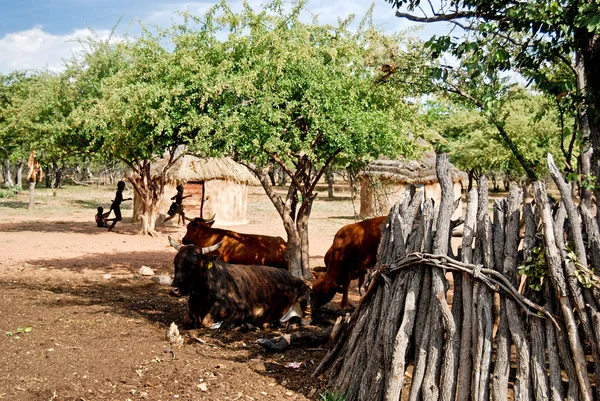 Pueblo Himba con cabañas tradicionales cerca del Parque Nacional Etosha en Namibia, África — Foto de Stock